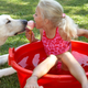 Illustration for article titled Experts: Don’t share ice cream with your adorable, shit-eating dogem/em